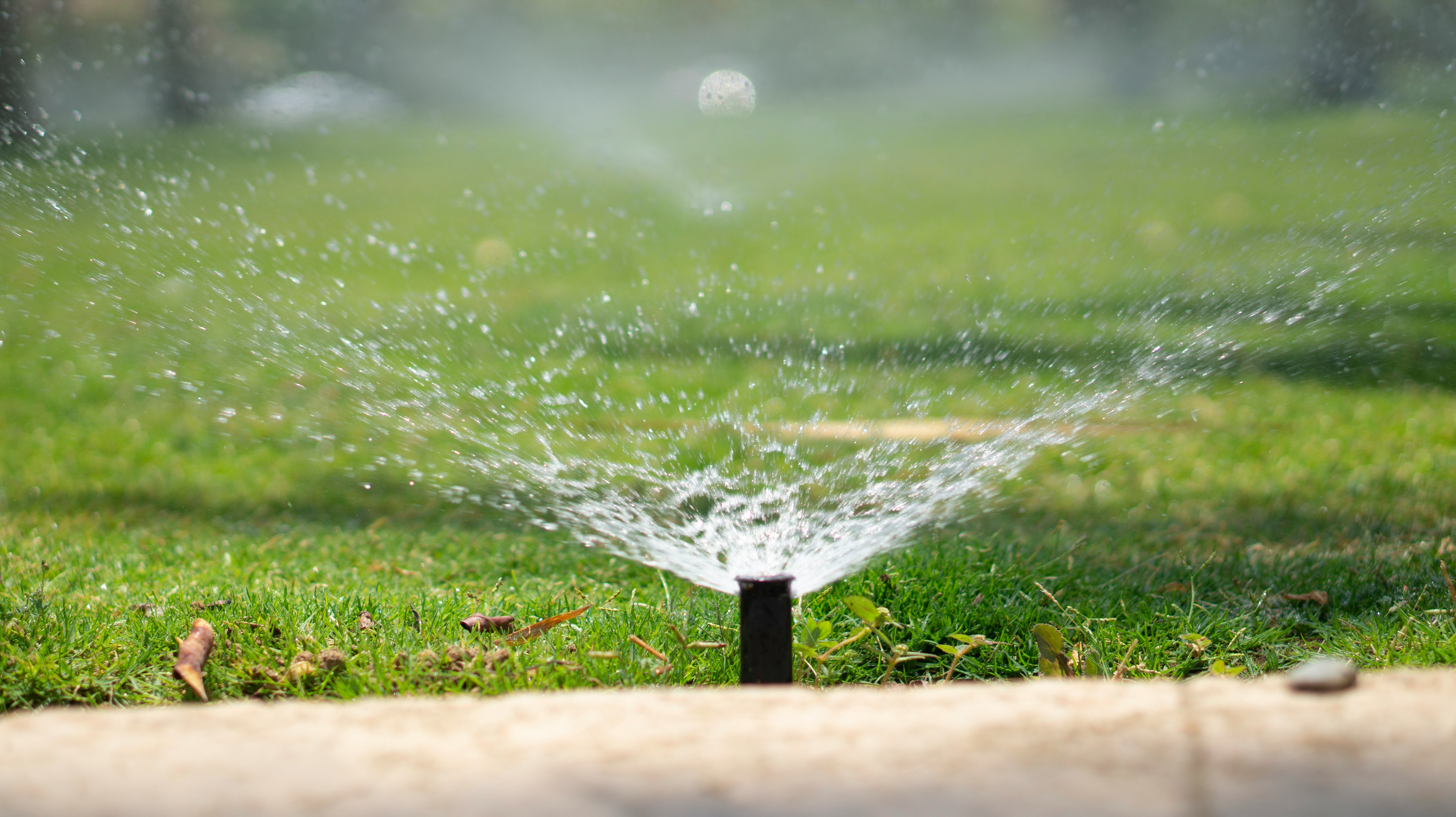 An in-ground sprinkler watering grass